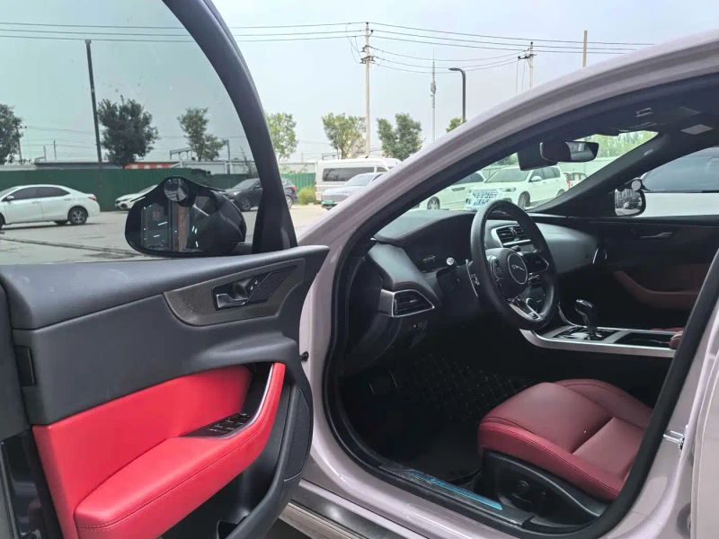 Jaguar Xel