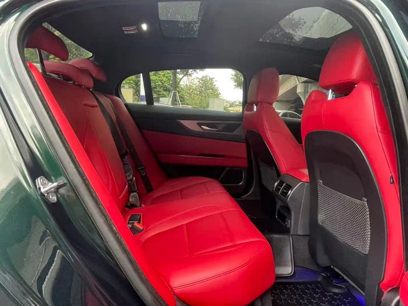 Jaguar Xel