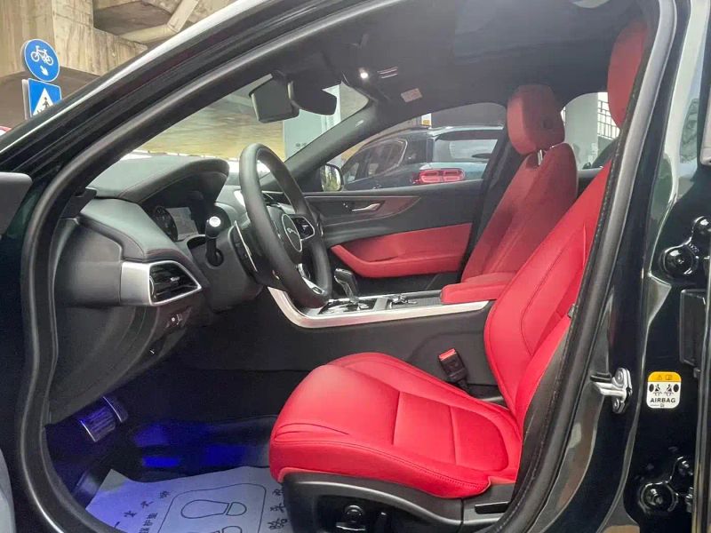 Jaguar Xel