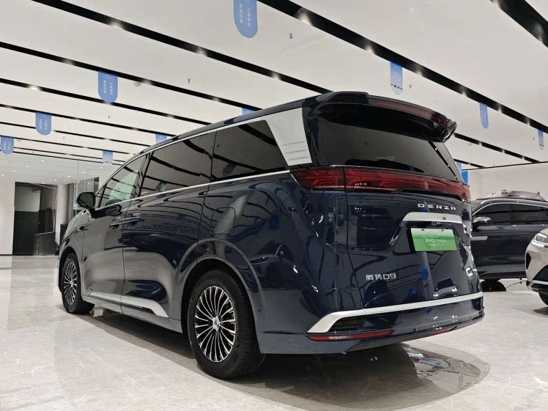 Denza D9