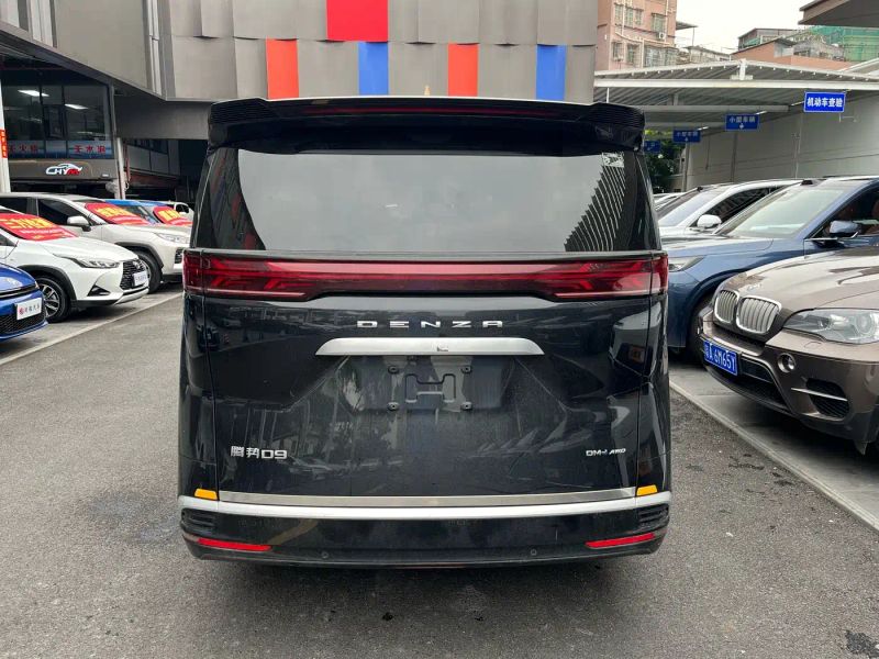 Denza D9