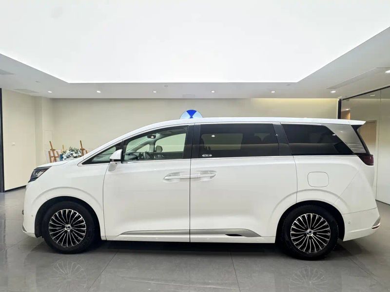 Denza D9