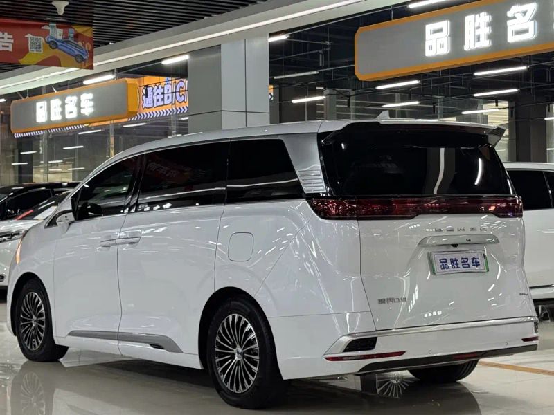 Denza D9