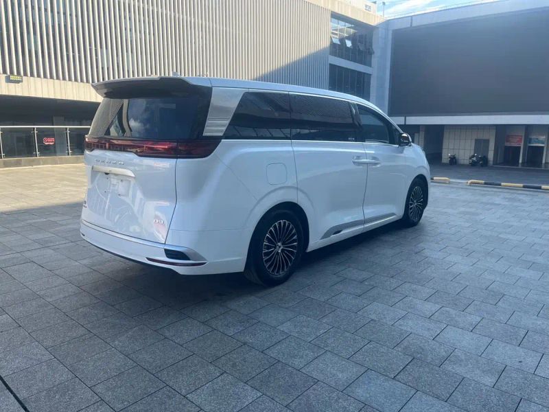Denza D9