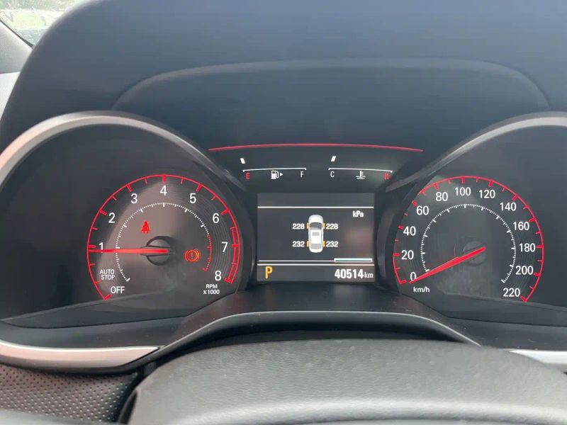 Malibu Cruze