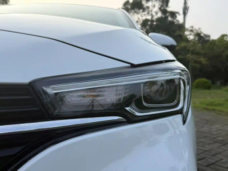 Buick Weilang
