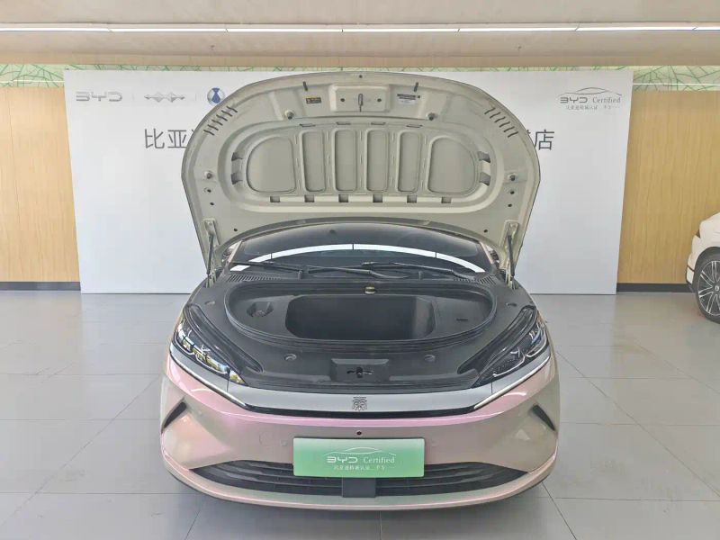 Byd L