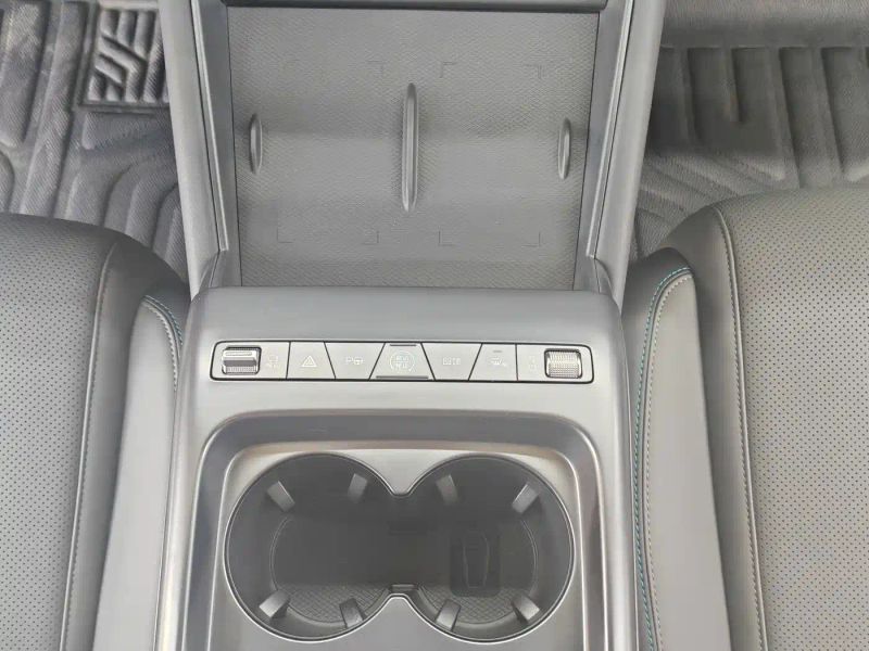 Byd L