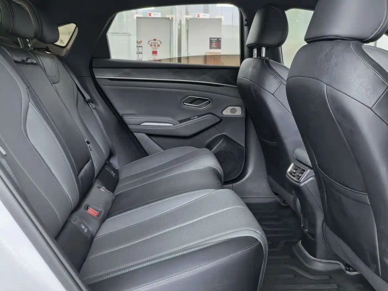 Byd L