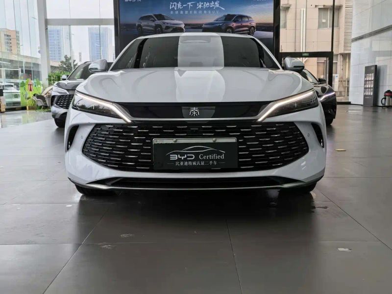 Byd L