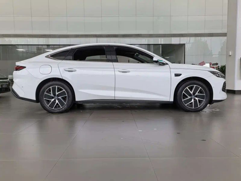 Byd L