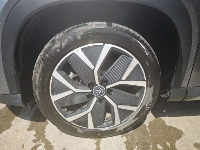 Byd L