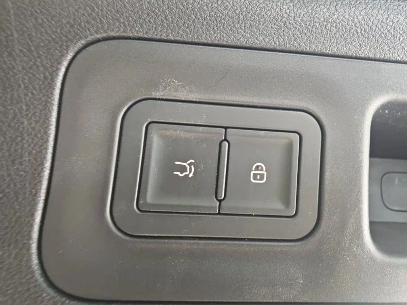 Byd L