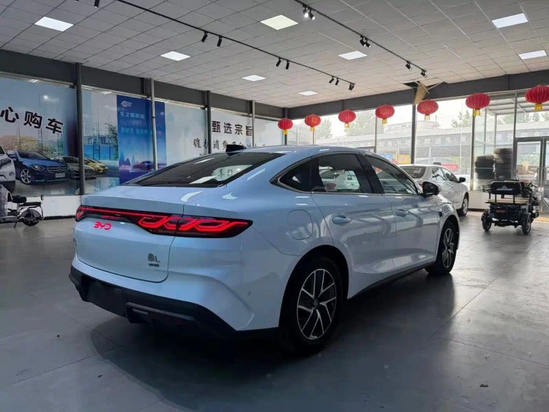 Byd L