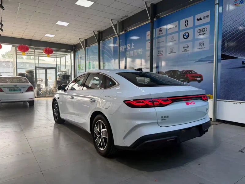 Byd L