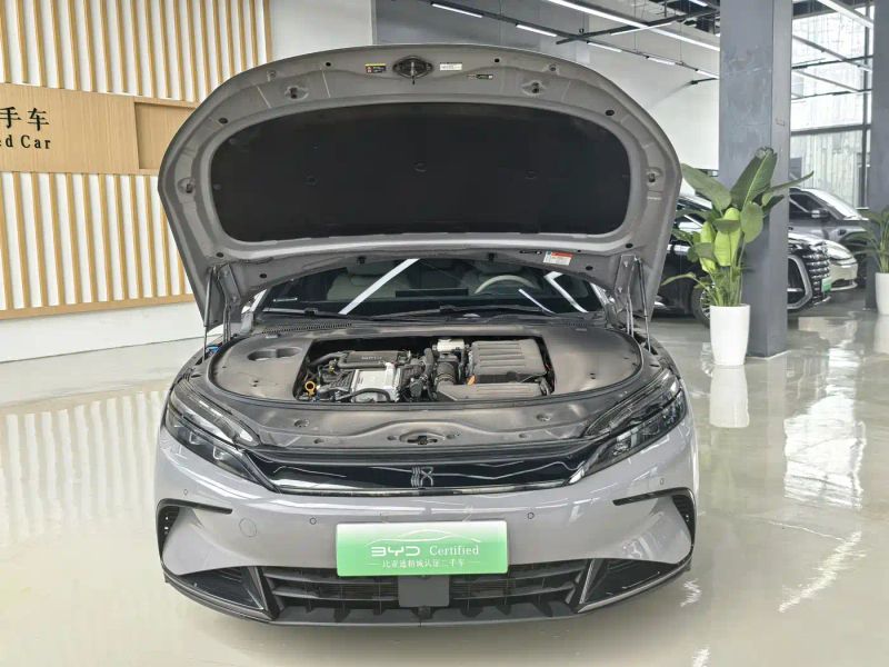 Byd Han