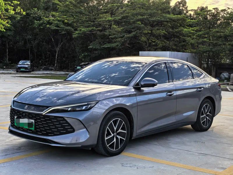 Byd L