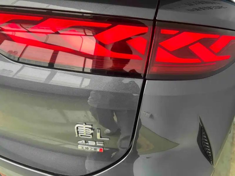 Byd L