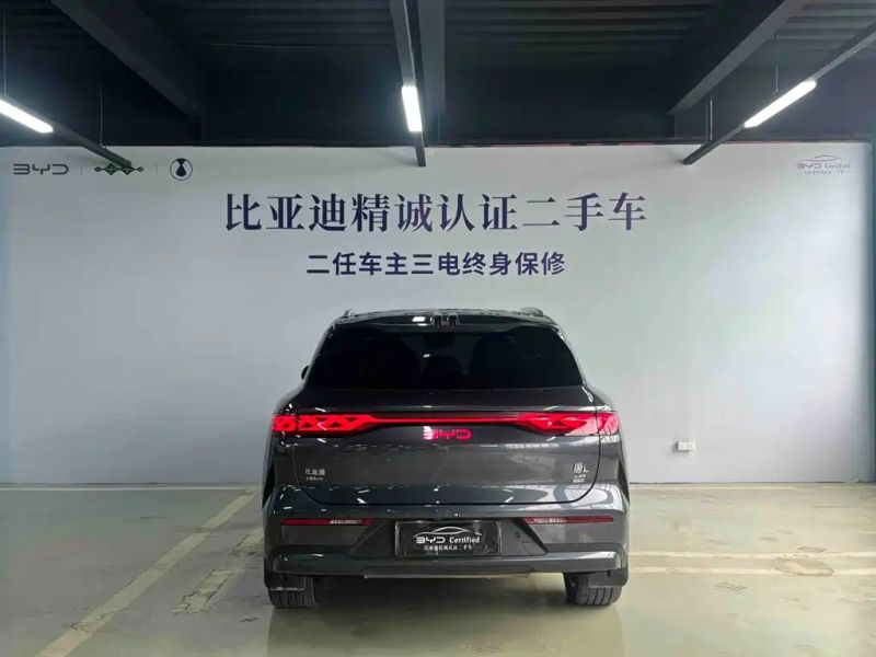 Byd L