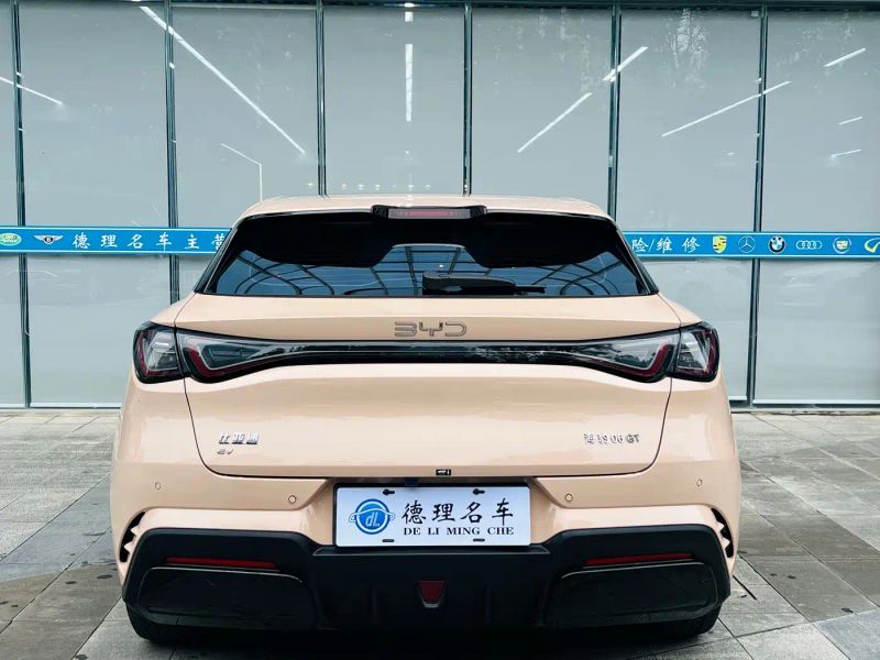Byd 06