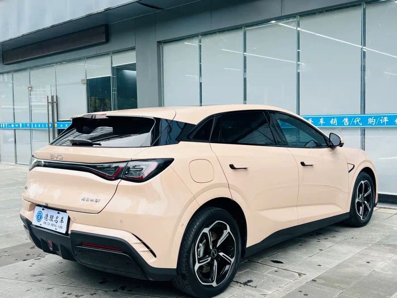 Byd 06