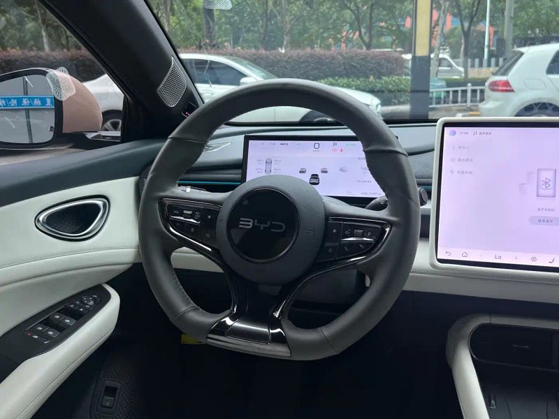 Byd 06