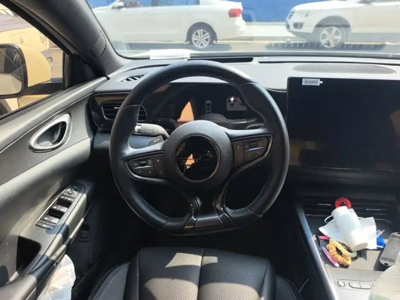 Byd 06