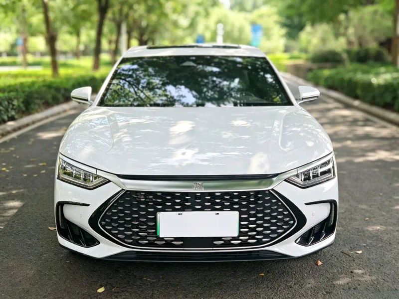 Byd Han