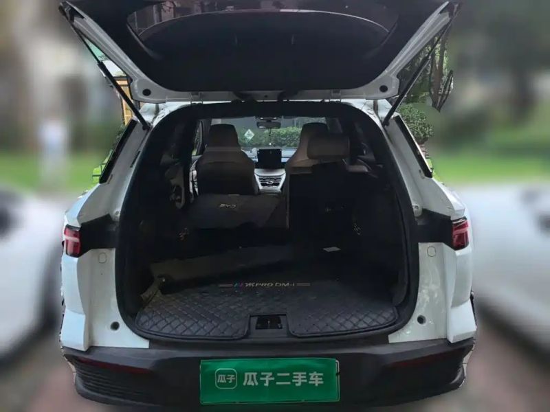 Byd Pro
