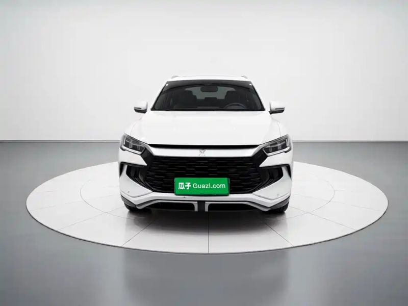 Byd Pro