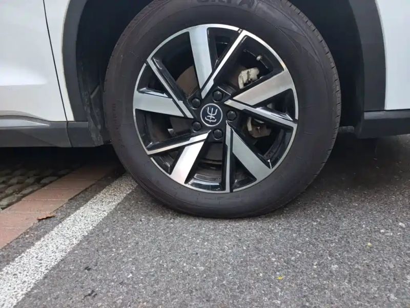 Byd Pro