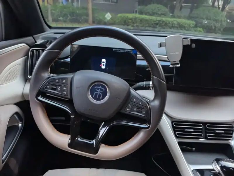 Byd Pro