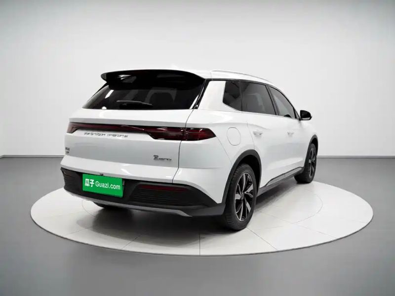 Byd Pro