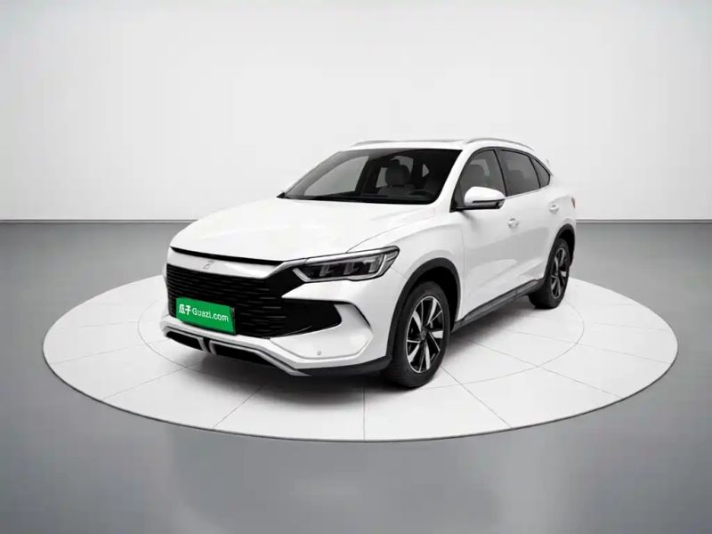 Byd Pro