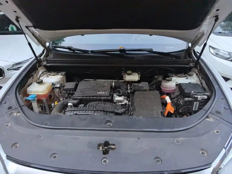 Byd Pro