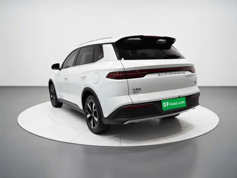 Byd Pro
