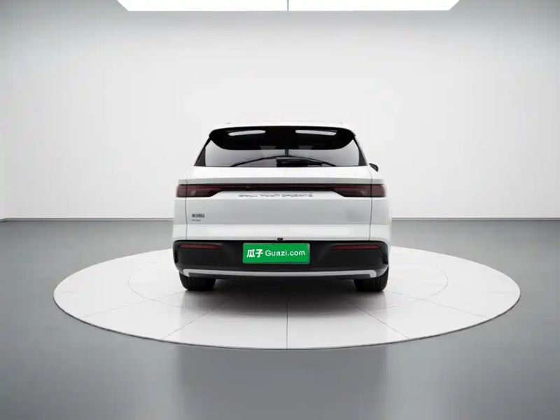 Byd Pro