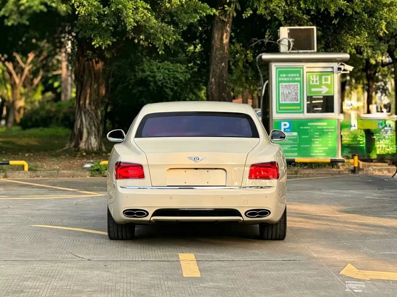 Bentley Feichi