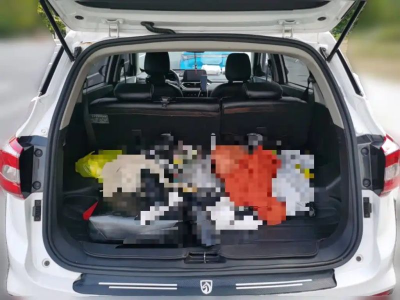 Baojun 510