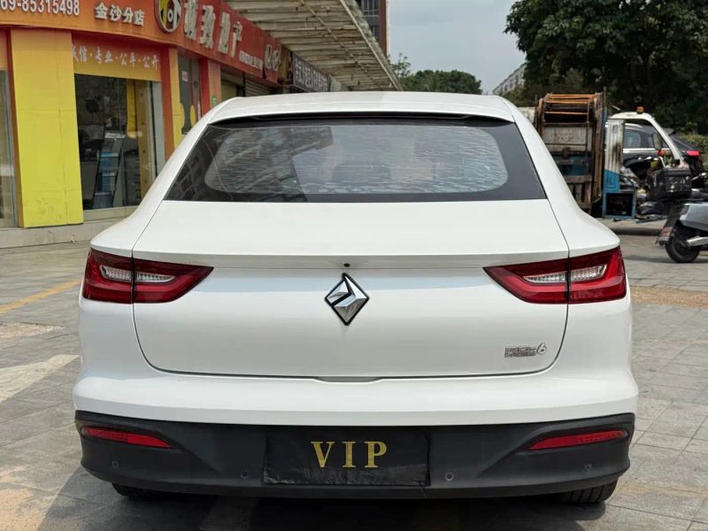 Baojun Rc
