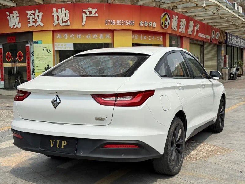 Baojun Rc