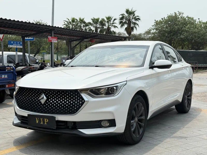 Baojun Rc