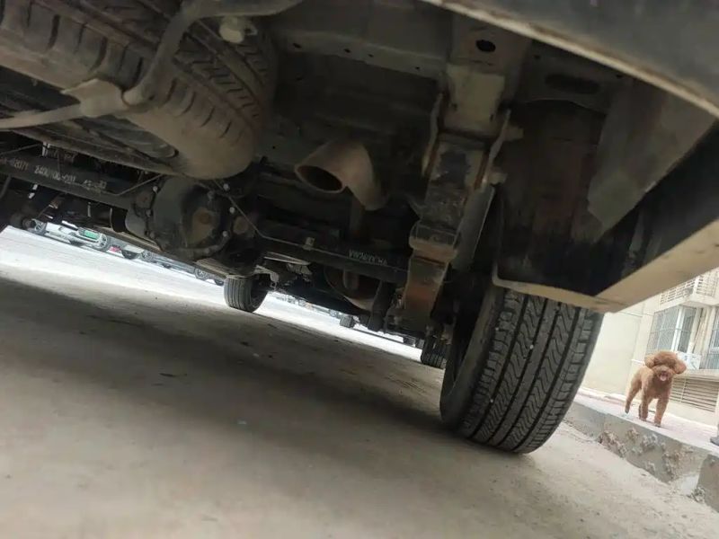 Auto Wangpai