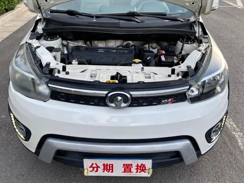 Fengjun M4