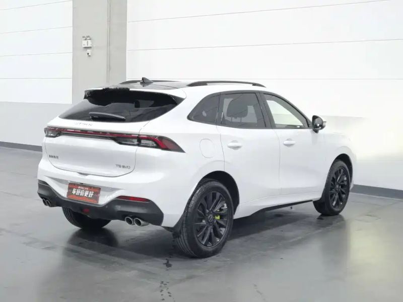 Fengxing T5