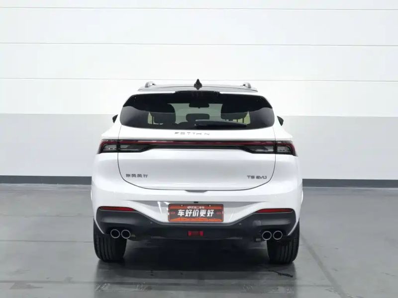 Fengxing T5