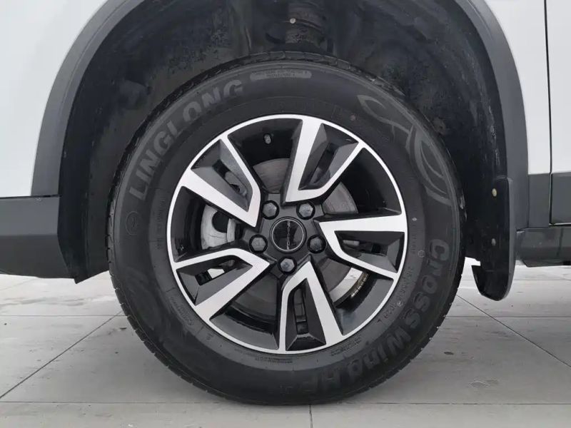 Fengxing T5