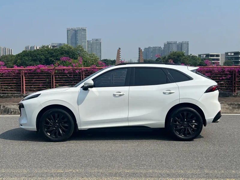 Fengxing T5evo