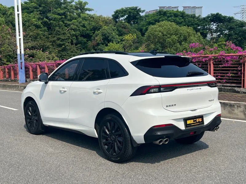 Fengxing T5evo