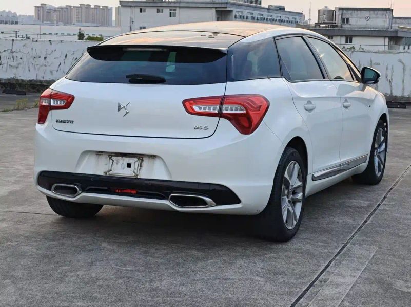 Ds 5